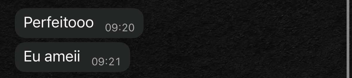 Print de conversa de cliente sobre o trabalho da Emily